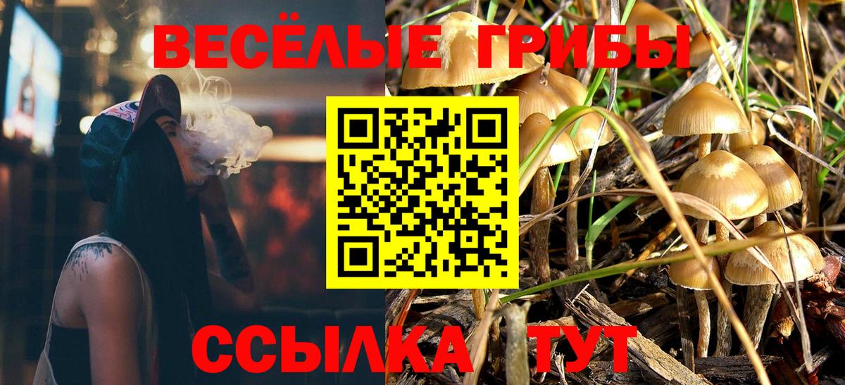 Псилоцибиновые грибы MAGIC MUSHROOMS  Вход с VPN  Красноярск  Псилоцибиновые грибы MAGIC MUSHROOMS 